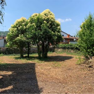 CASA AFFIANCATA CASA AFFIANCATA