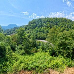 Terreni – Località Pontara Terreni – Località Pontara