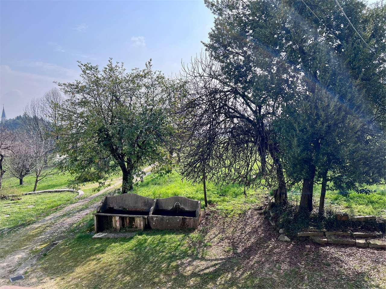 rustico