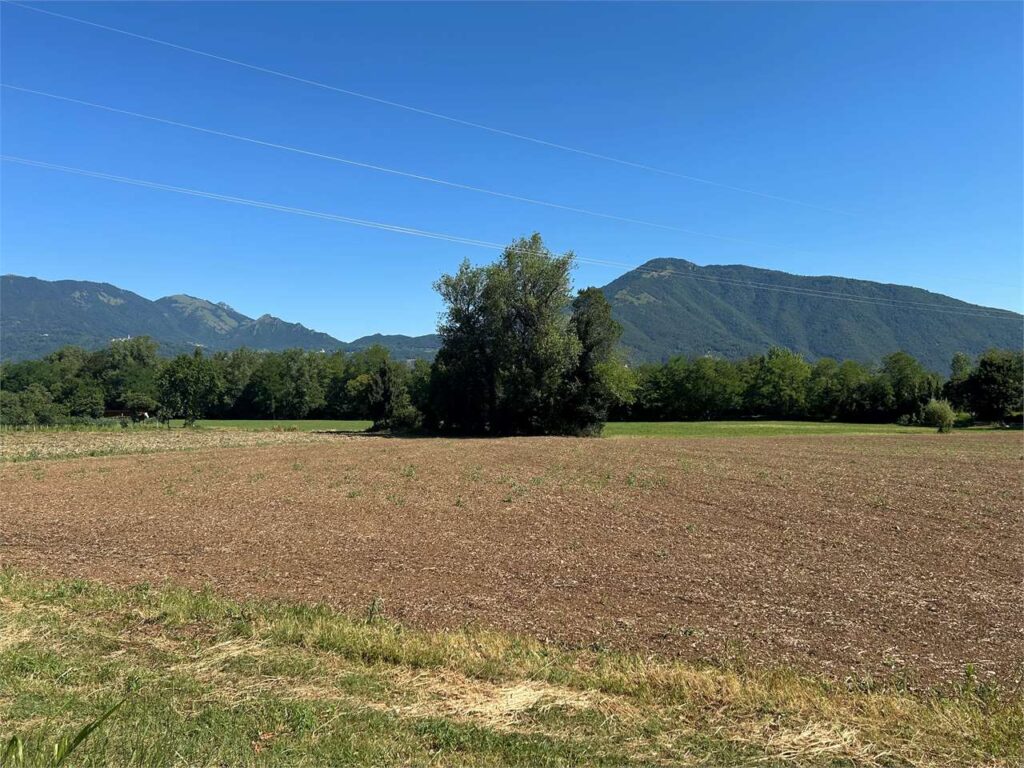 Terreno agricolo Terreno agricolo