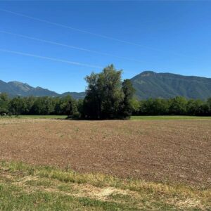 Terreno agricolo
